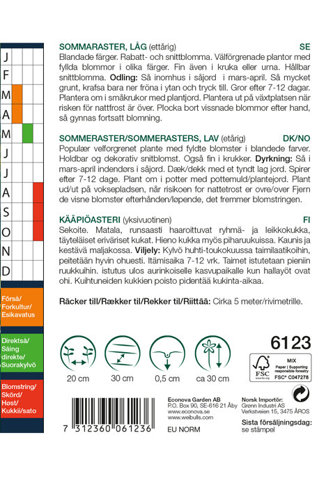 Sommeraster, lav 'Dvärgdrottning'